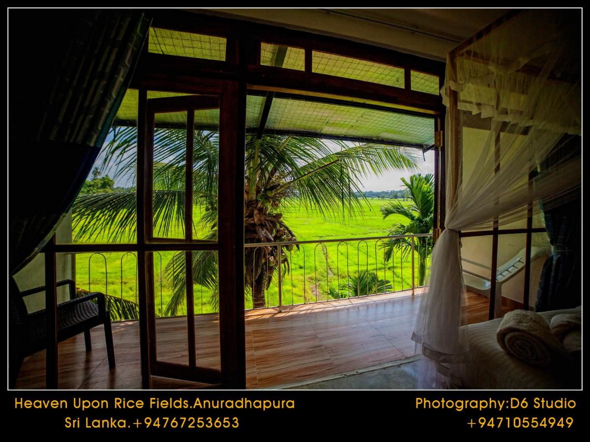 B&B Anurādhapura - Heaven Upon Rice Fields - Bed and Breakfast Anurādhapura