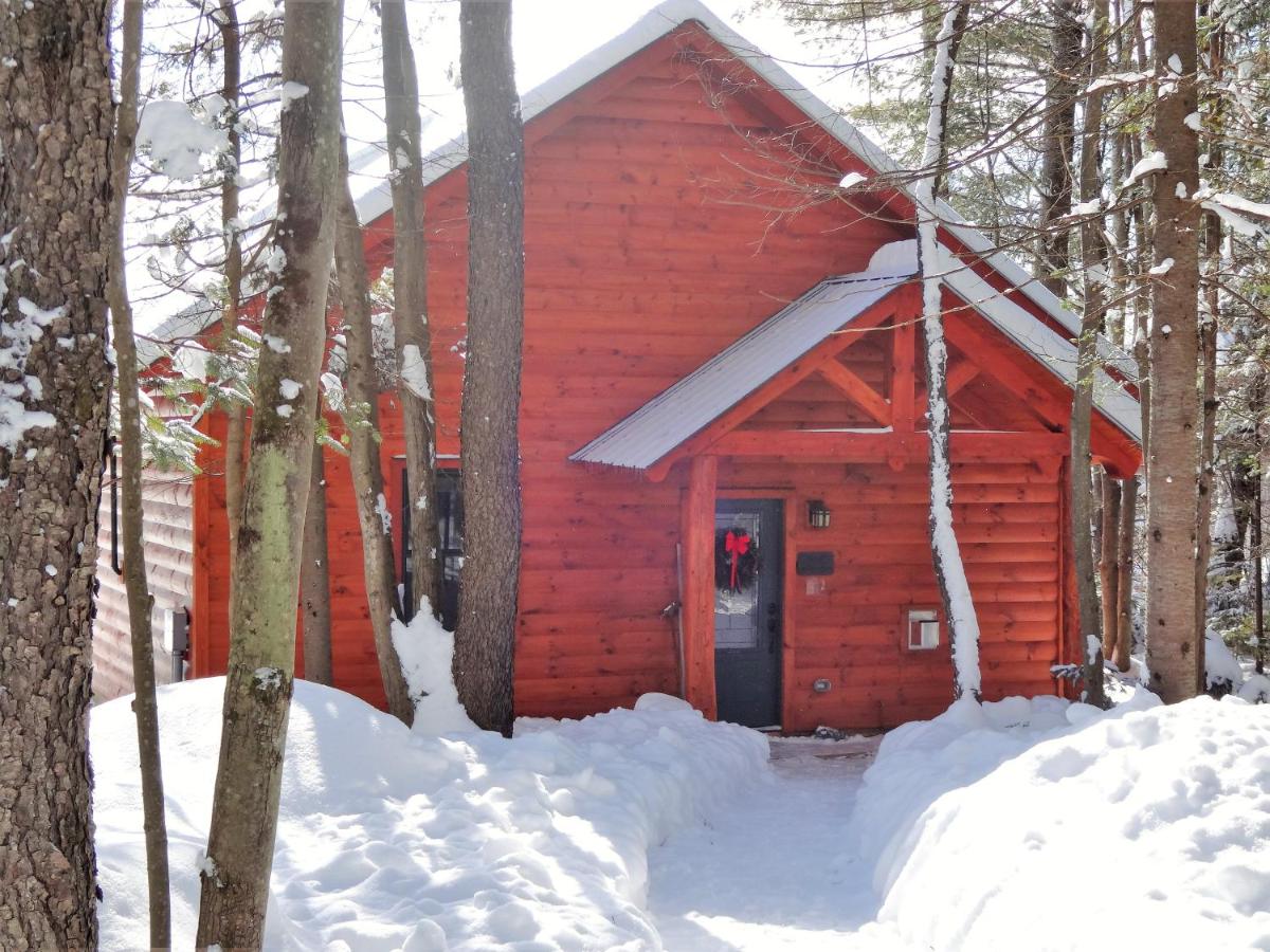 Cabin #1 - Peak Perspective with Mountain View (Non-Pet Friendly)