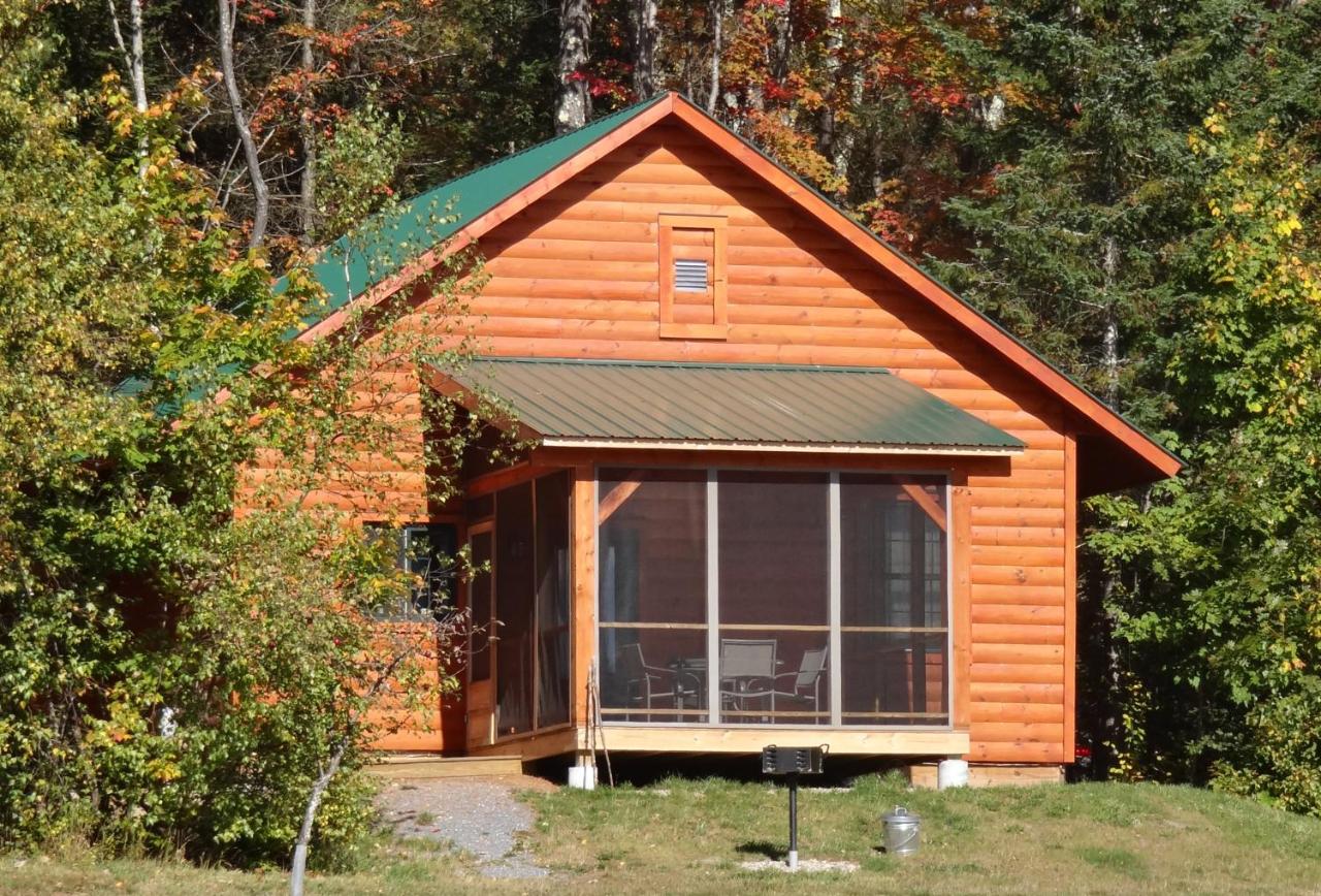 Cabin #1 - Peak Perspective with Mountain View (Non-Pet Friendly)