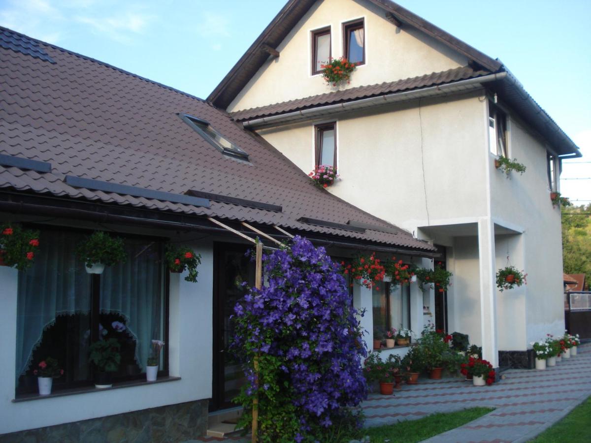 Casa Elena - Ferienwohnung Moieciu de Jos