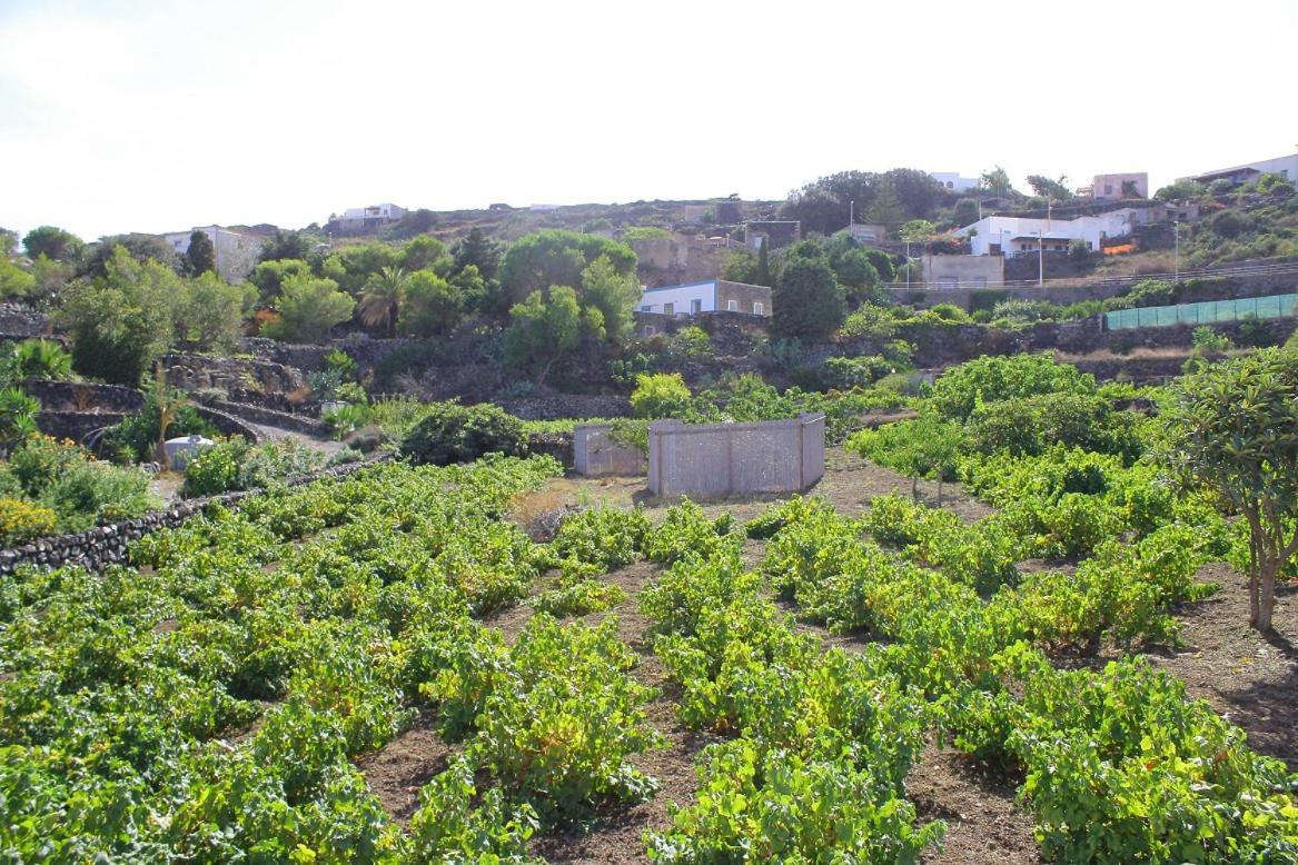 Dammusi LaBarcaBlu - B&B