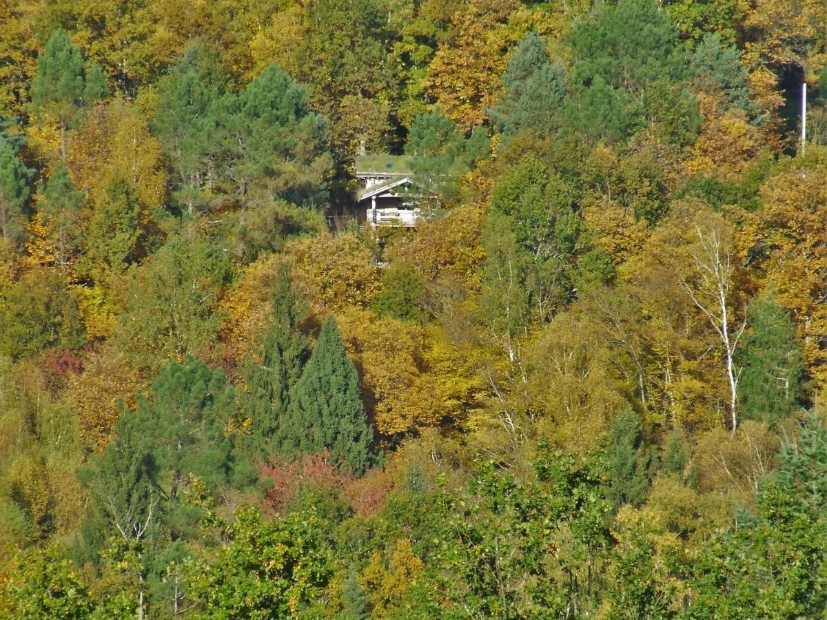 La cabane de Hans - Bed and Breakfast