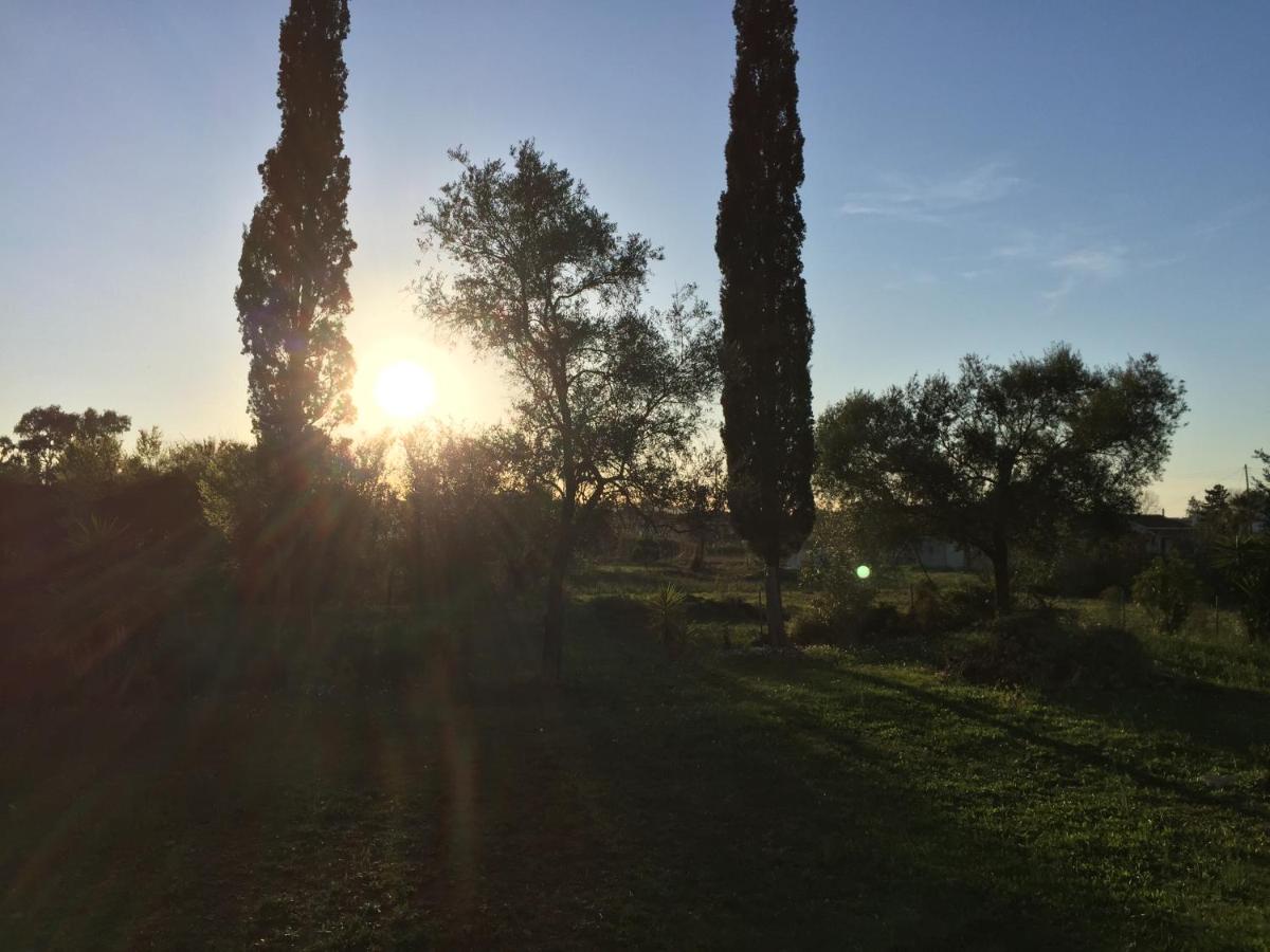 Alexander Apartments - B&B Róda