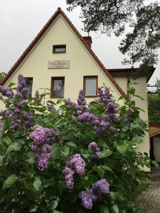 Willa Danusia - B&B
