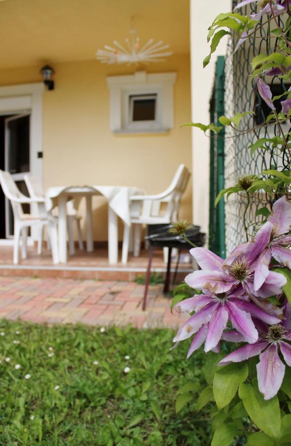 Apartment mit Gartenblick
