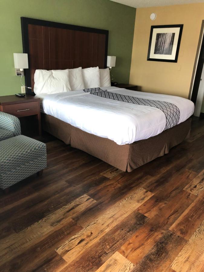 Kamer met Kingsize Bed