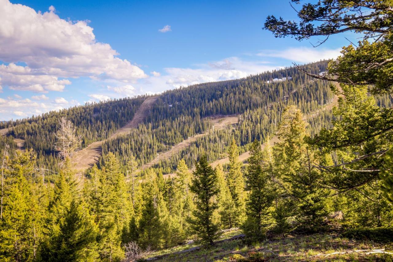 Two Bedroom Apartment