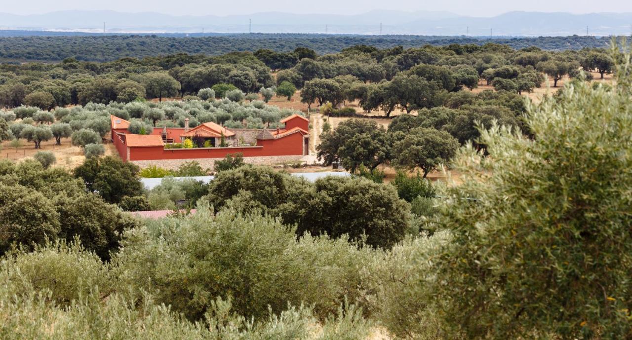 La Costanilla de los Angeles - B&B
