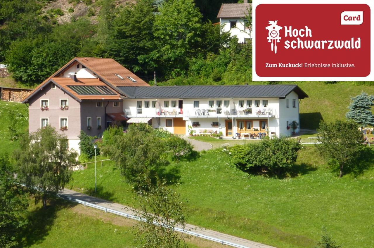 Steiert Panorama Apartments Todtnau - B&B