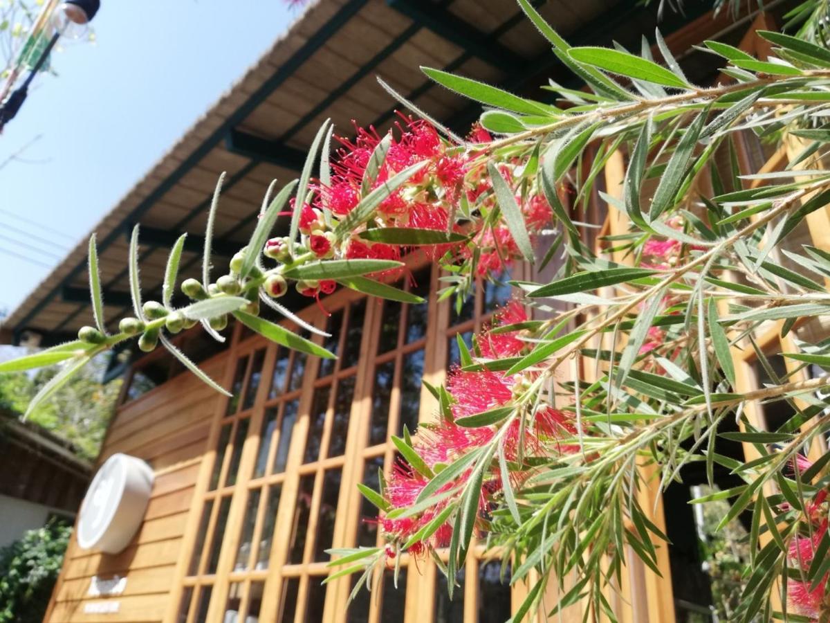 Paiyannoi Guesthome - B&B
