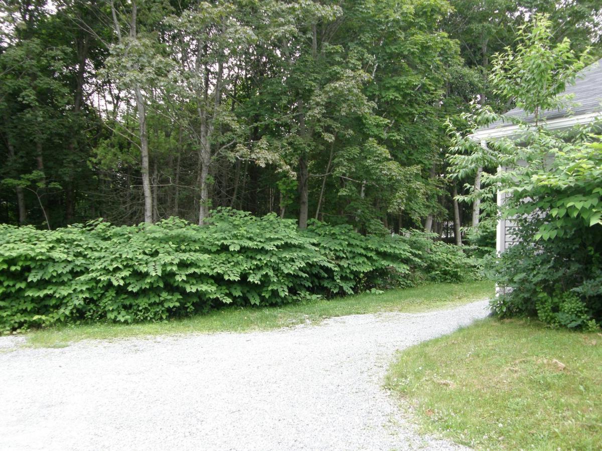 Deluxe Appartement met 2 Slaapkamers