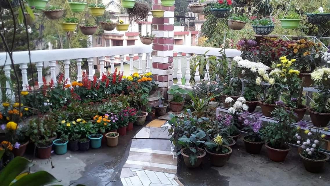 Camera Familiare con Terrazza