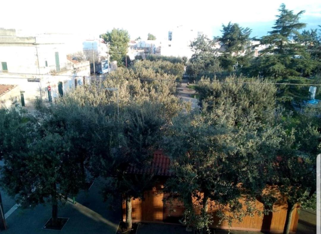 "La casa di Mariagrazia" rooms con cucina condivisa e terrazza - B&B Sammichele di Bari