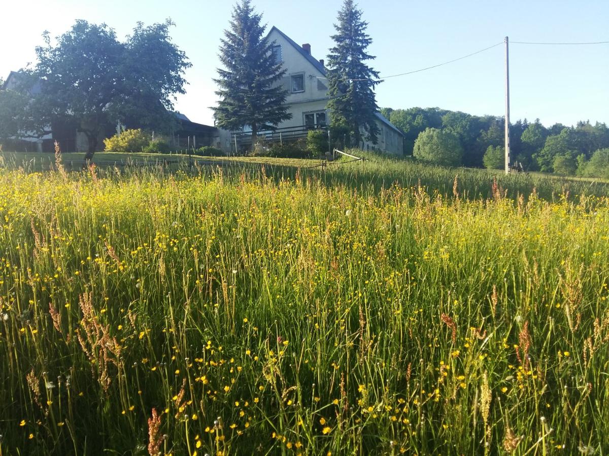 AGROTURYSTYKA RASZKÓW - Bed and Breakfast