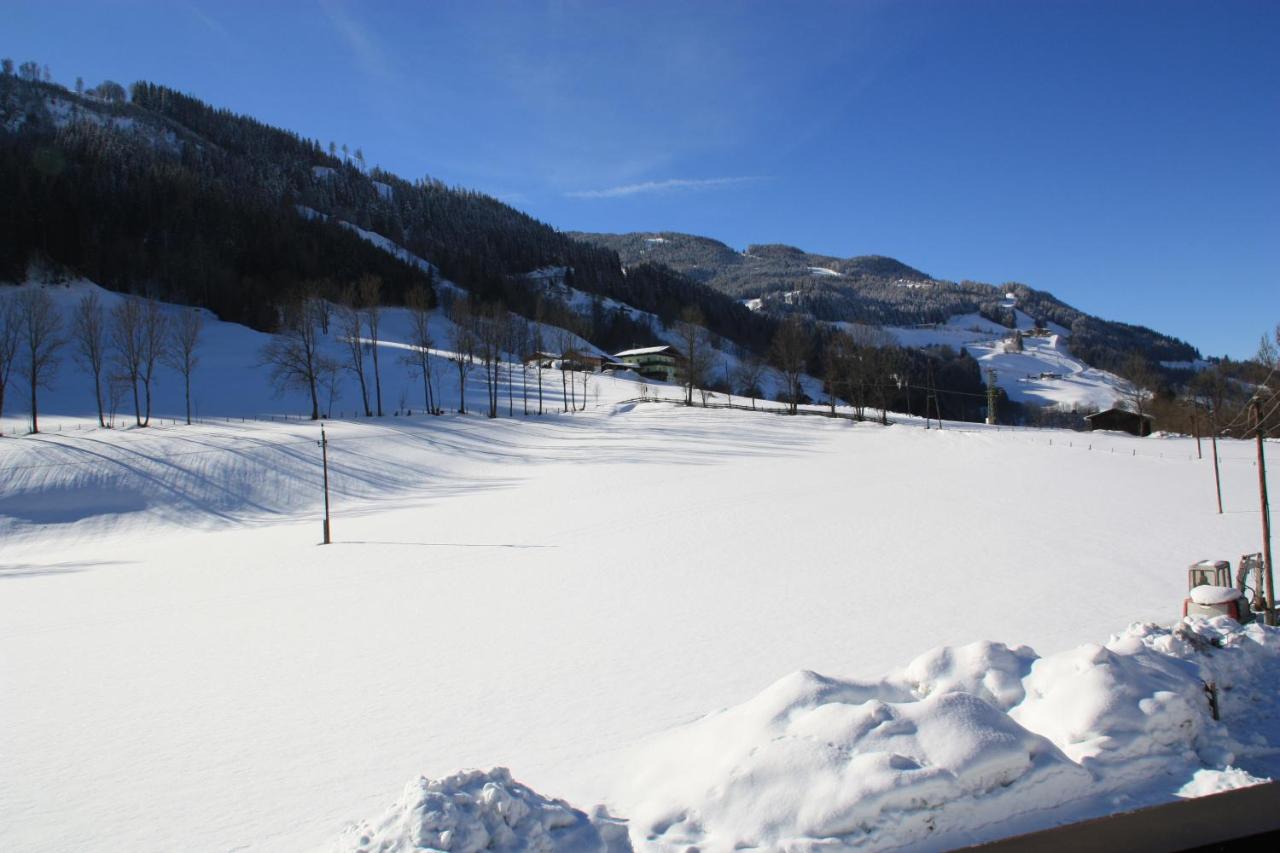 Camera Familiare con Terrazza 