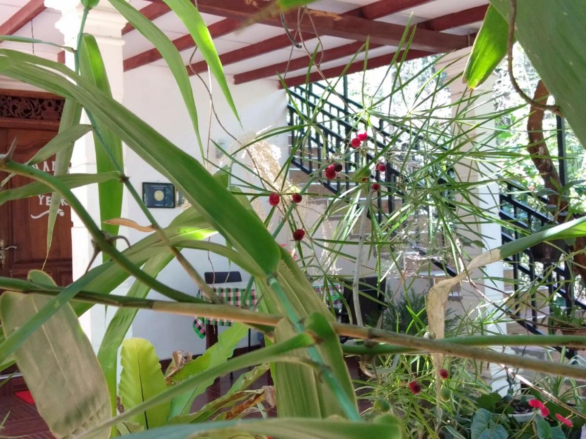 Liyara Home Stay - B&B