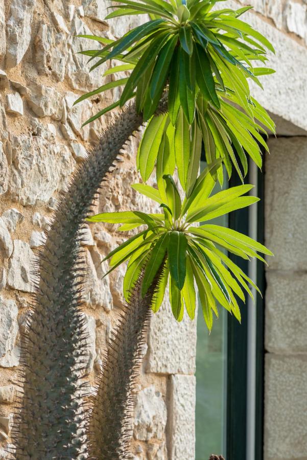 Dimore del Valentino - Ferienwohnung Sampieri