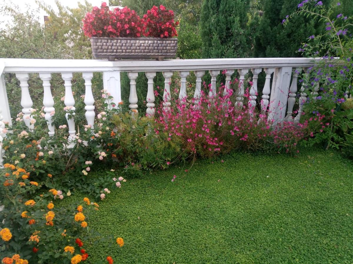 APARTMANI KUJUNDŽIĆ - B&B Duće