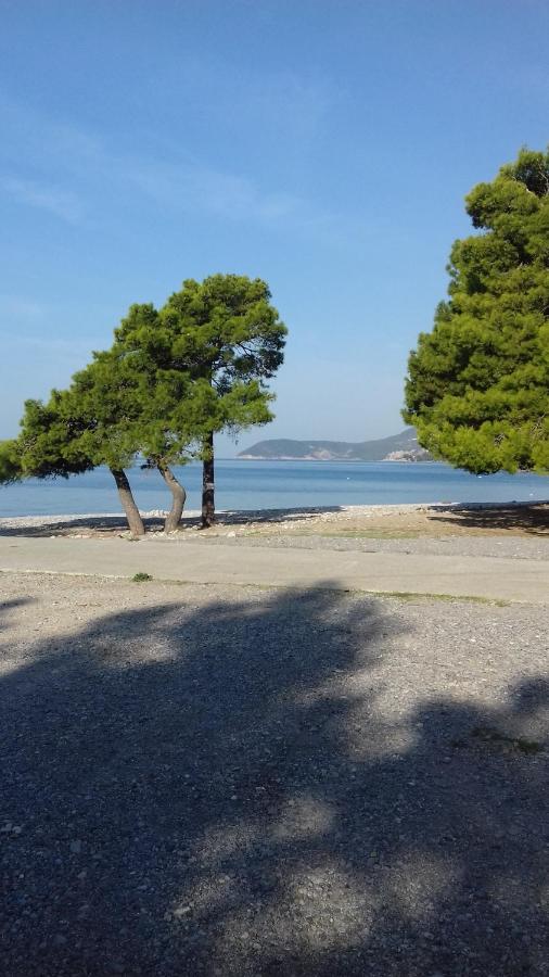 Appartamento con Vista Giardino