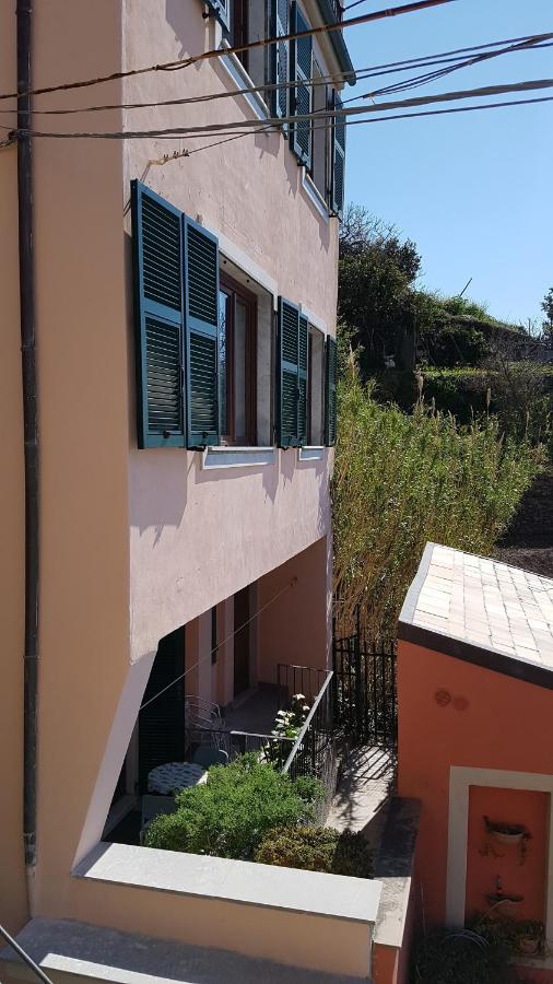 "Sunset Garden" apartment - B&B