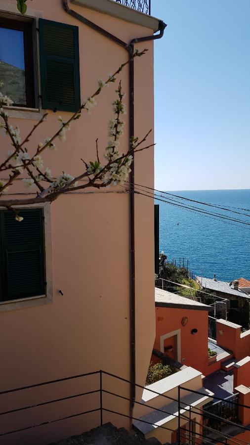 Arancio - B&B Riomaggiore