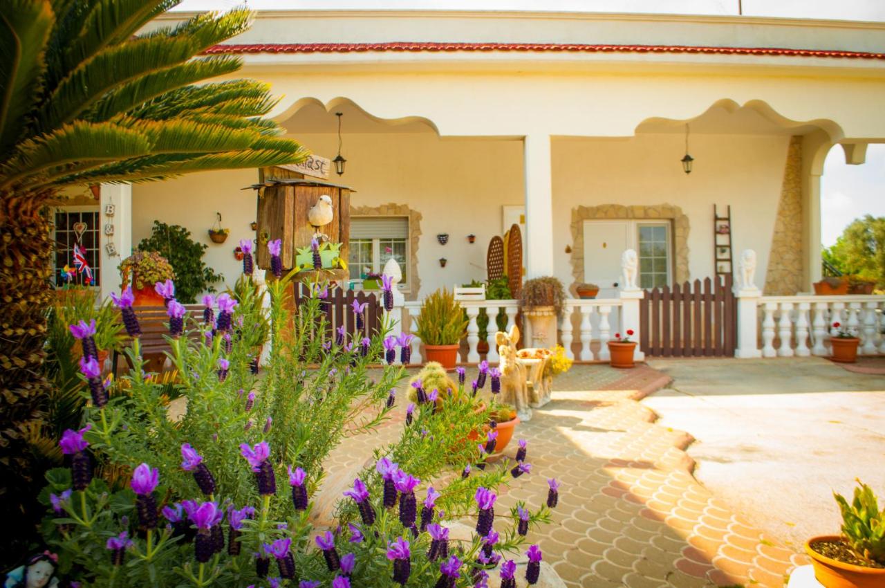 B&B Pietrafitta - B&B Carovigno