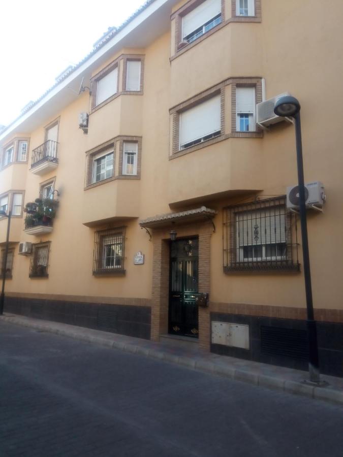 Aurora... Pisos en alquiler Granada. Armilla - B&B