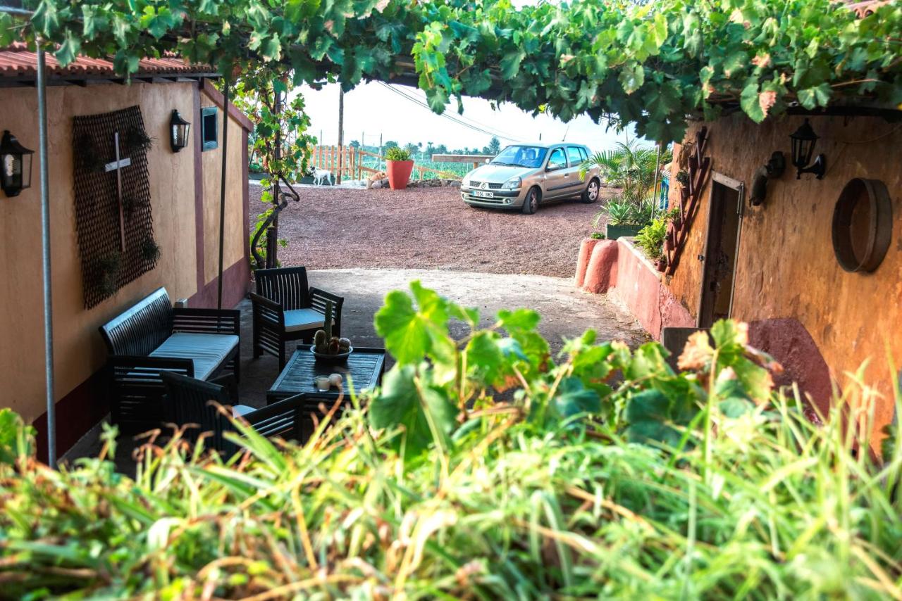 FINCA LA PLANTACIÓN _Agroturismo - B&B