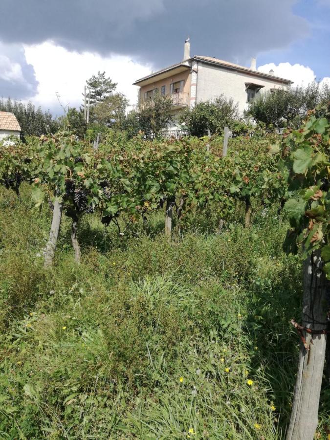 B&B NEL VERDE - Bed and Breakfast