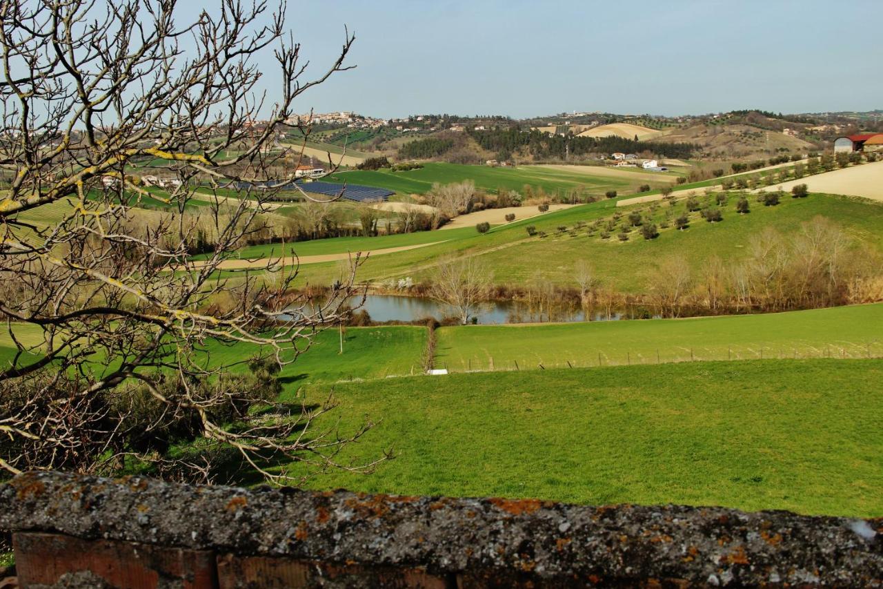 B&B Bellante - Casa di campagna Villa De Luca - Bed and Breakfast Bellante