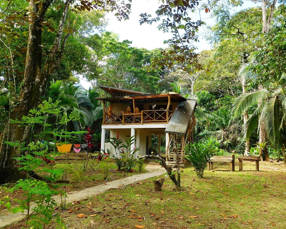 Estudio de 1 dormitorio