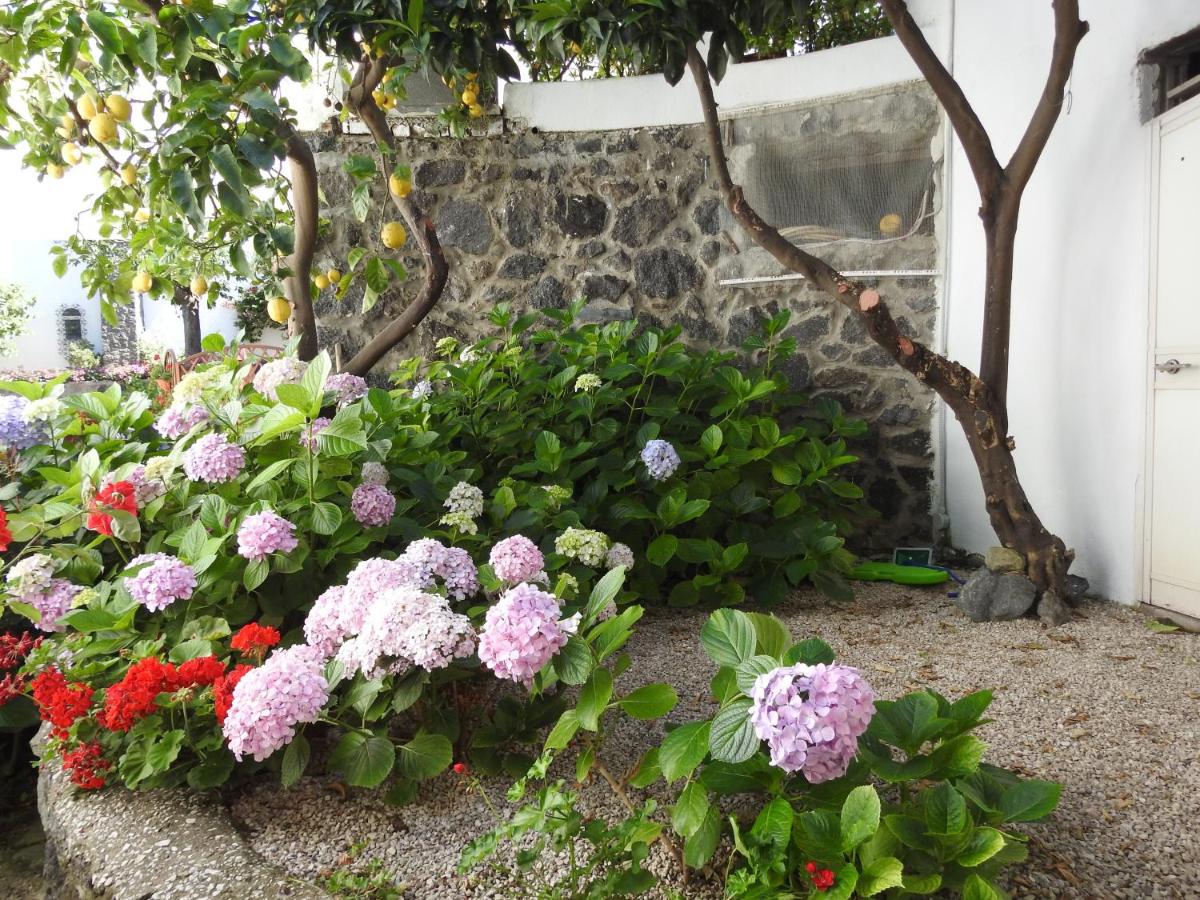 Villa Erade - B&B