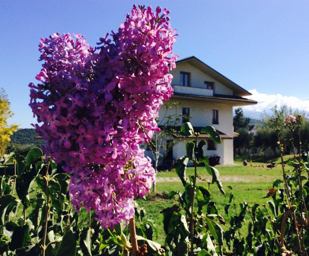 B&B Alanno - Agriturismo Le Terre d'Abruzzo Country House - Bed and Breakfast Alanno