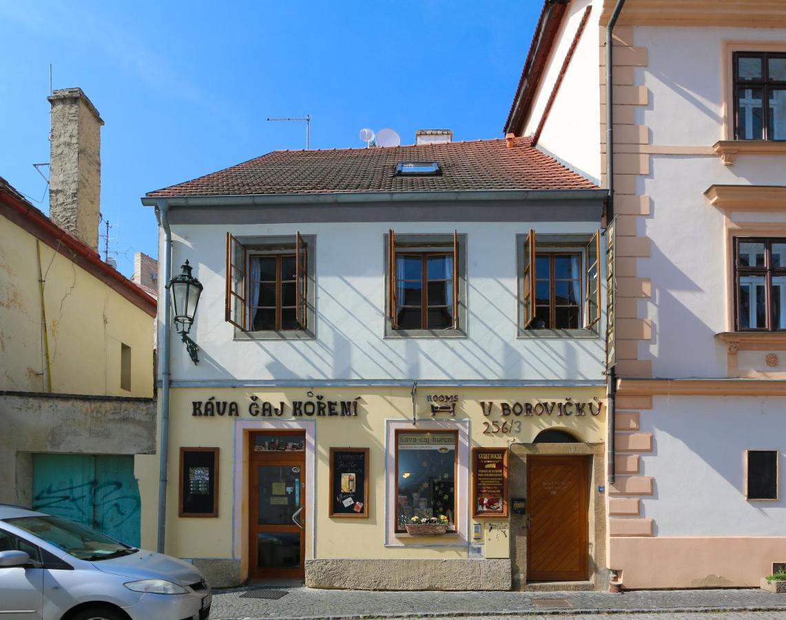 Penzion U Borovičků - B&B Litoměřice