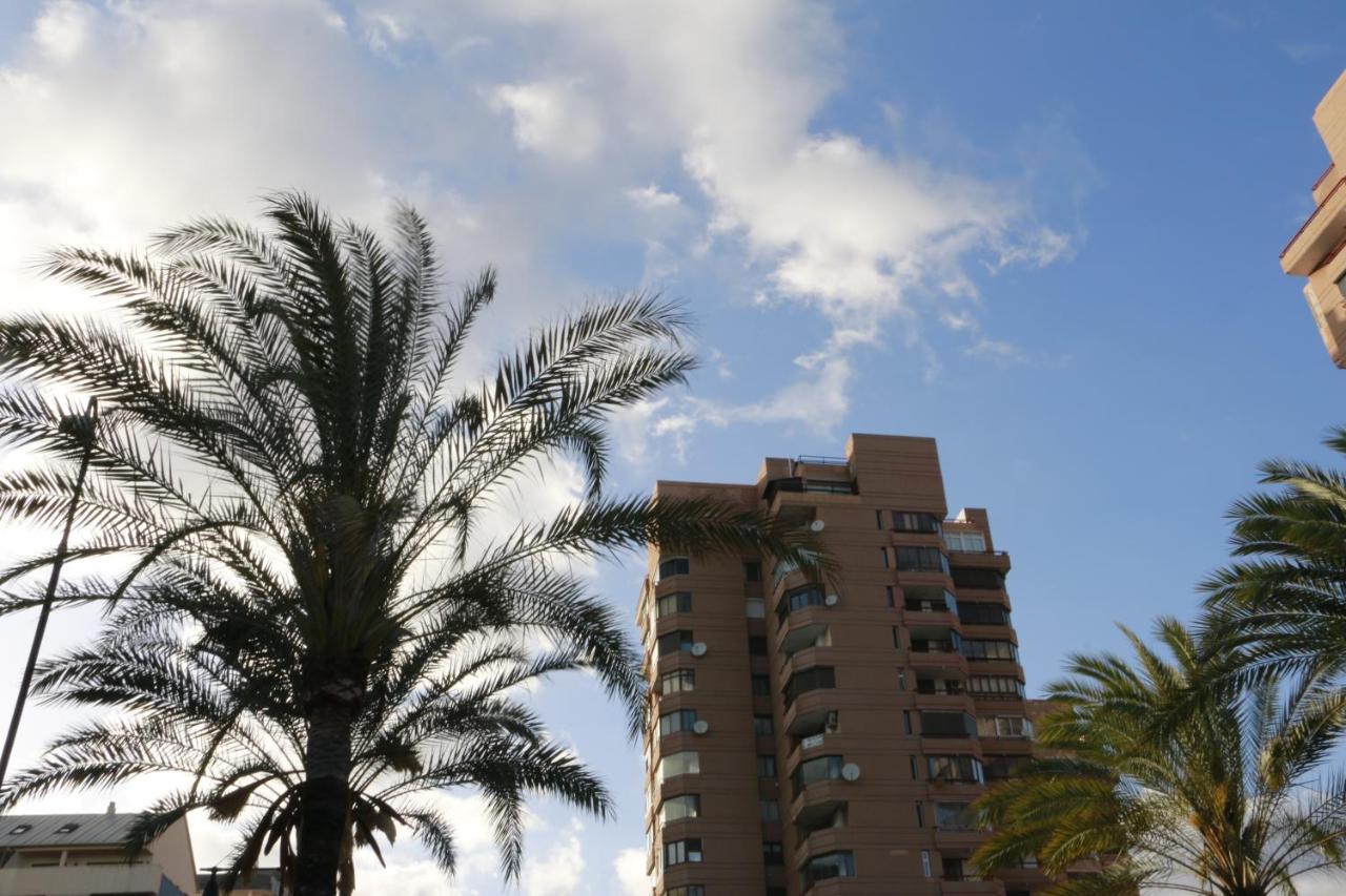 Sur Suites Palmeras 2 - B&B