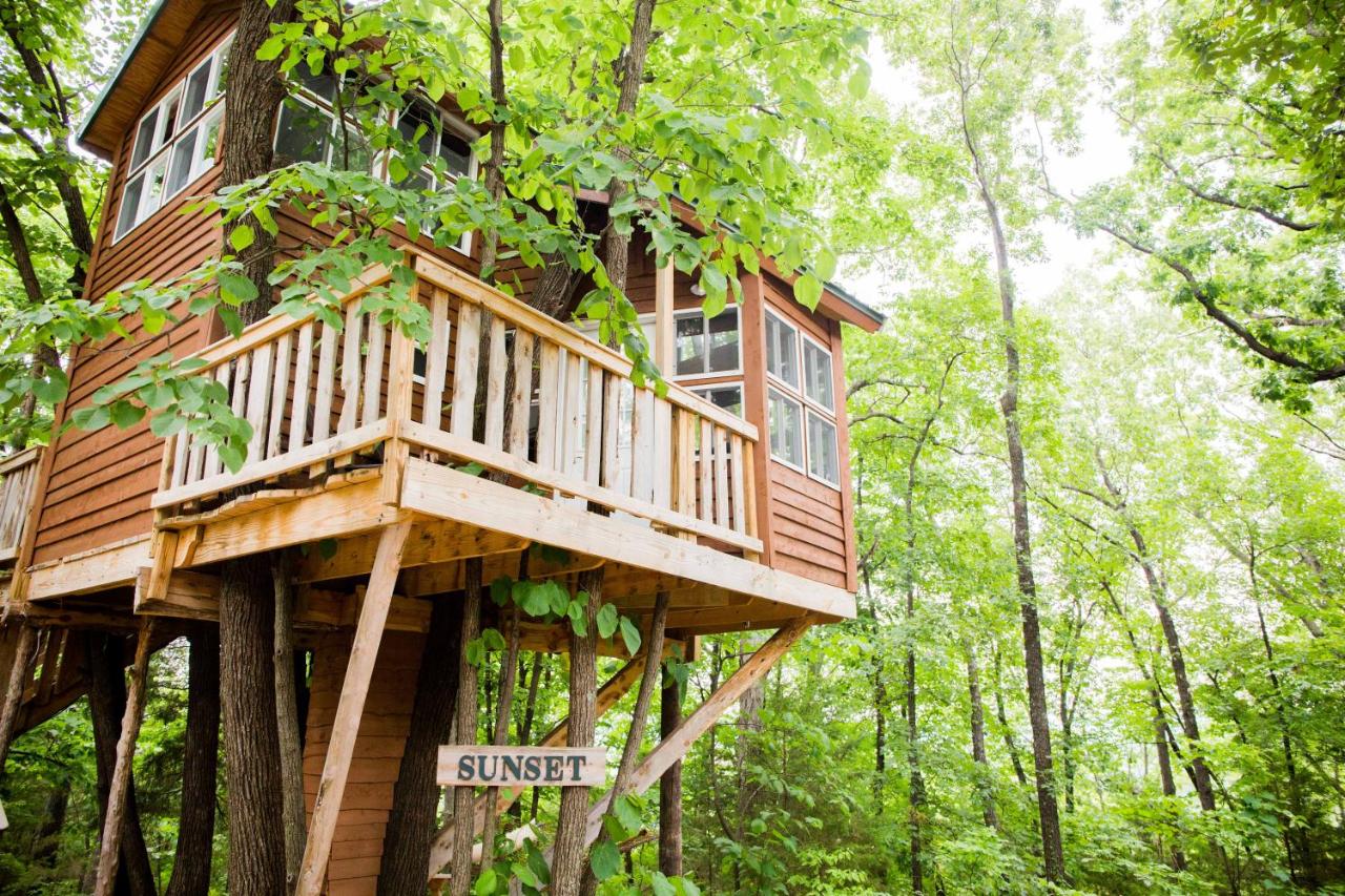 The Cottage Treehouses - B&B