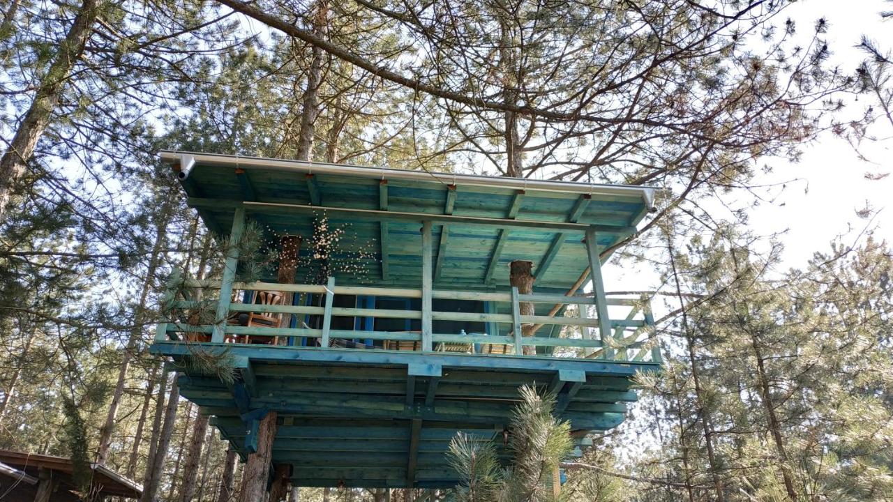 Guesthouse Bajka - B&B