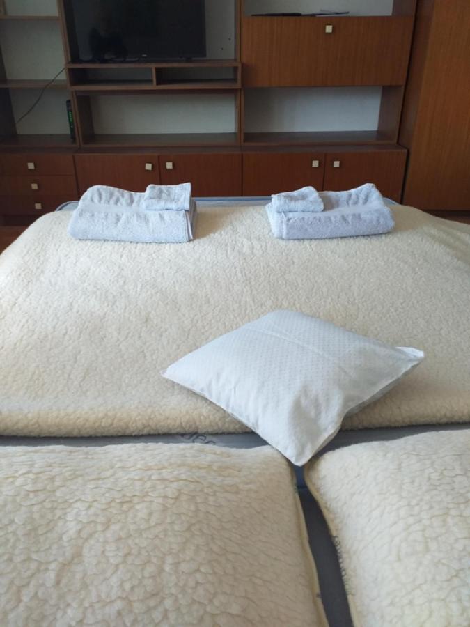 APARTMENT PRIMČEVA - Ferienwohnung Maribor