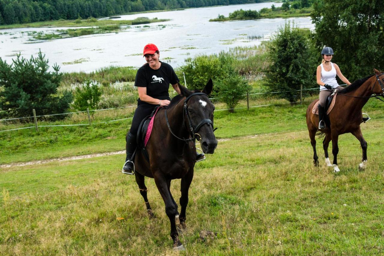 Stajnia Grazyny Mikorowo 46 - Ferienwohnung Czarna Dąbrówka