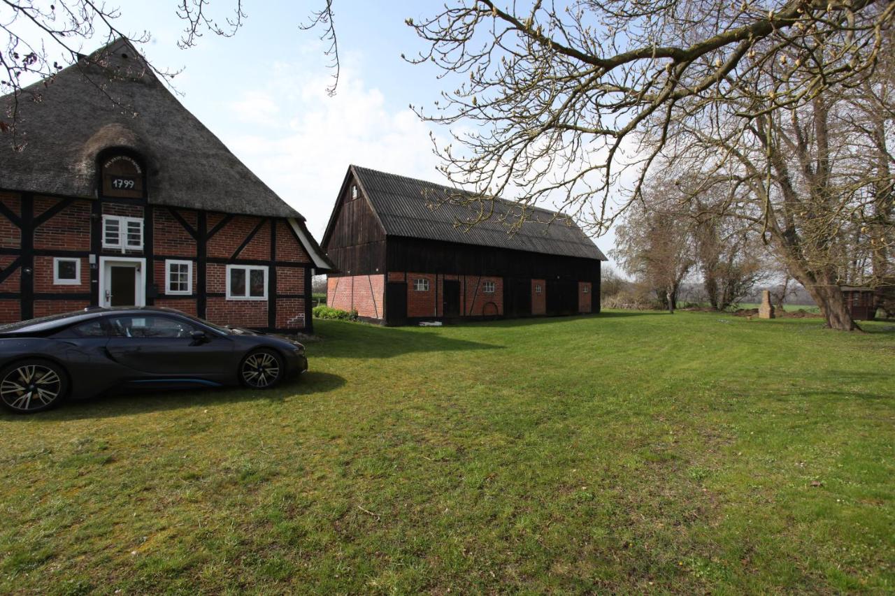 Reetdachkate am Feldrand mit grandiosem Weitblick - Bed and Breakfast