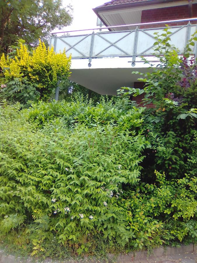 Raben Steinfeld Forststrasse Am Residence-Park - B&B Raben Steinfeld