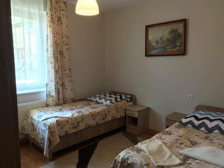 Camera Doppia con Letti Singoli con Bagno Privato