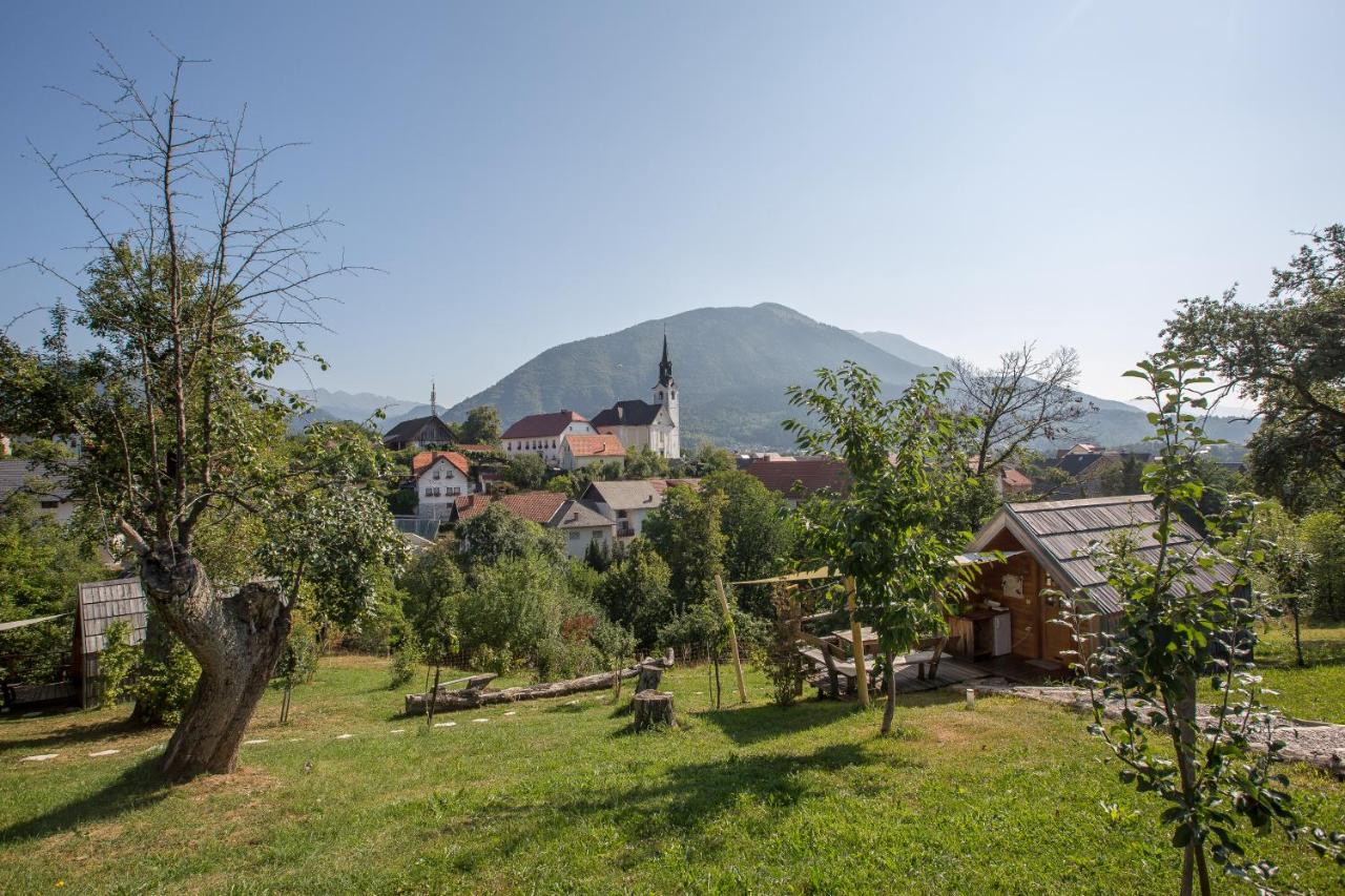 Glamping Organic Farm Slibar - B&B