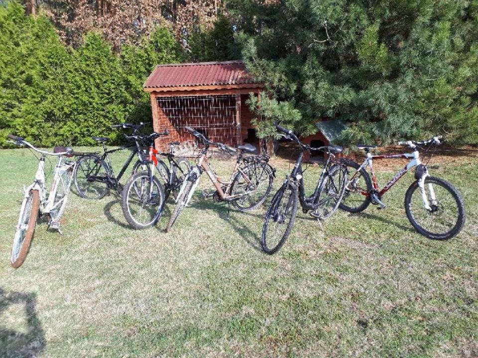 Agroturystyka Stajnia Zwierzyniec - Chambres d’hôtes Międzychód