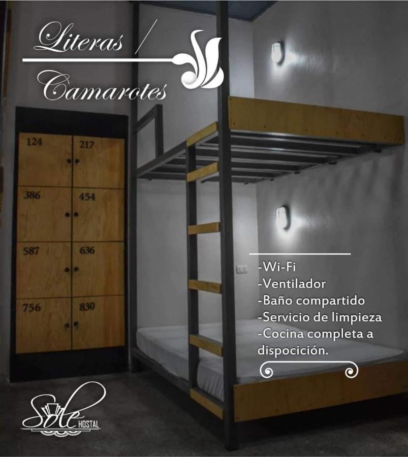 Bed in 6-Bed Mixed Dormitory Room