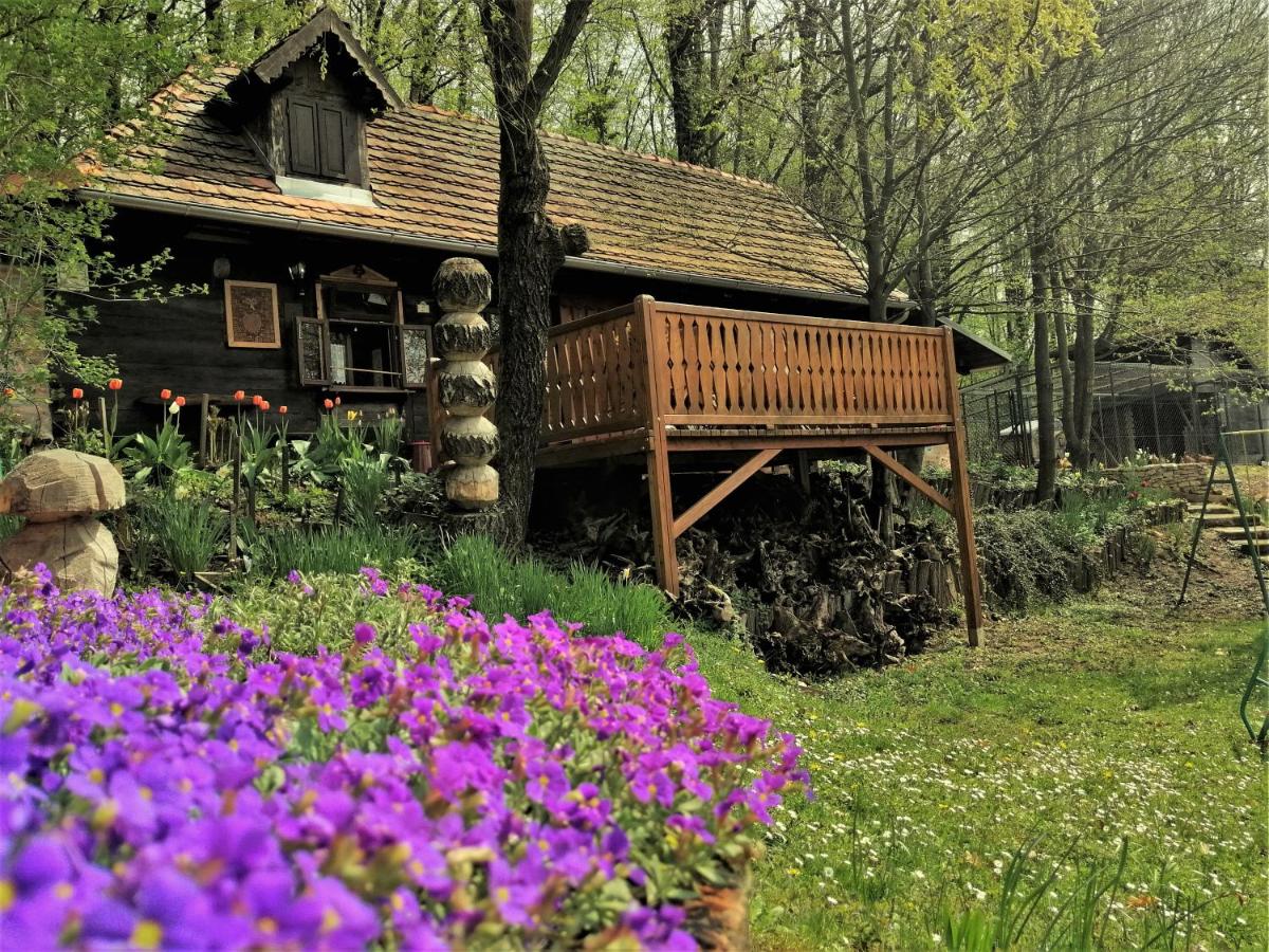 Country house with a pool in Medvednica Nature Park - Chambres d’hôtes Zagreb