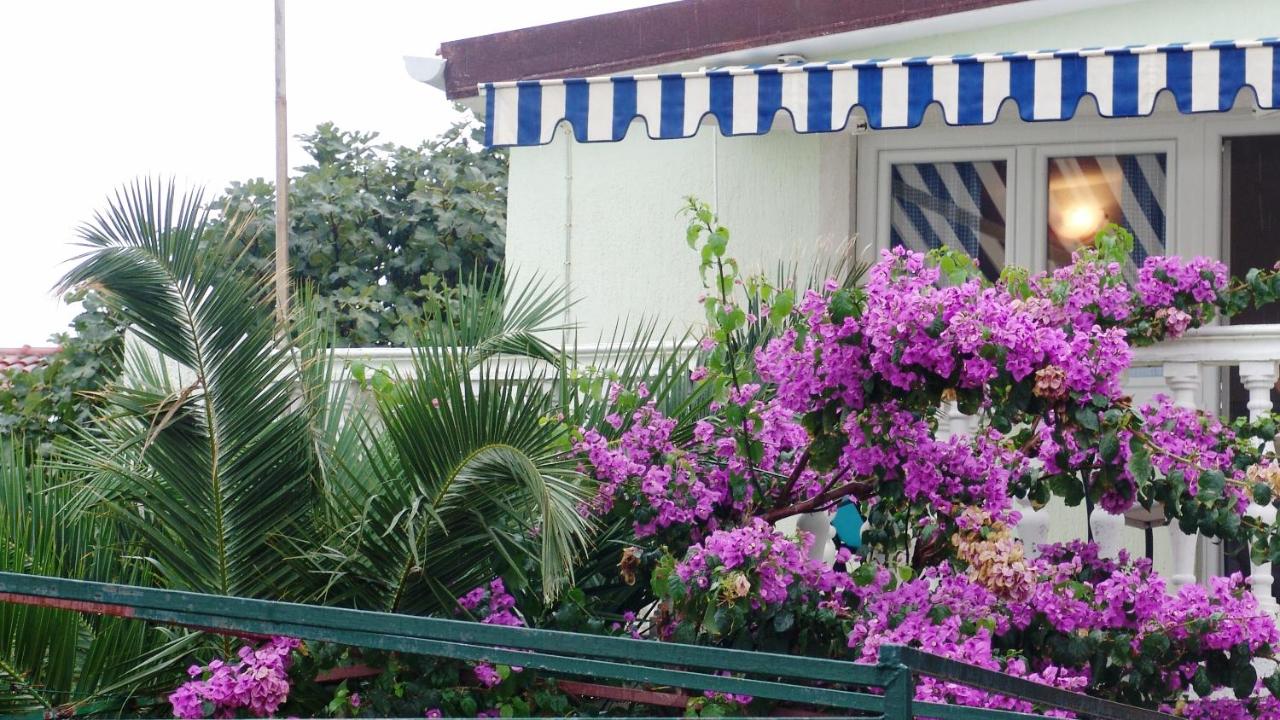 Apartman Čigir - Chambres d’hôtes