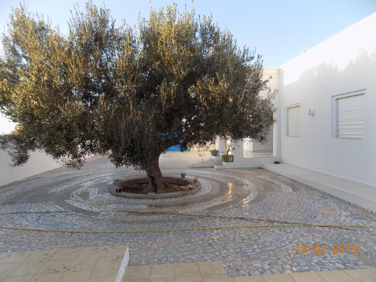 Dar Mamina - B&B Sidi Chemmakh