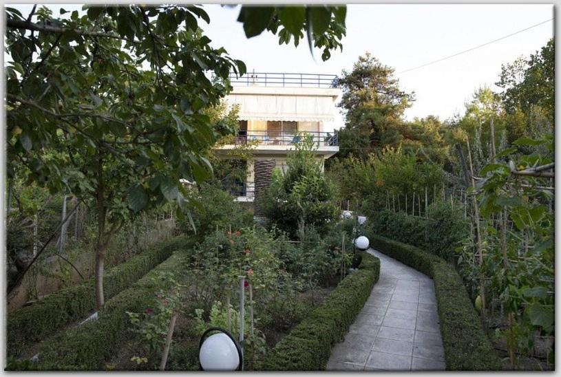 Anni's apartments 50m from the beach - Chambres d’hôtes