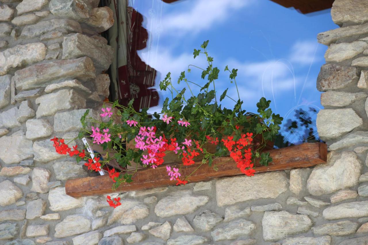 La casa di nonno "cien" - B&B